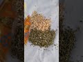 Preserve Green Garlic For Months | Homemade Garlic Powder #Homemade #khuskLahsan #kitchentip #easy