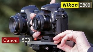 Canon 5D Mark III vs Nikon D800 Comparison