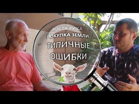 Video: Delitev Peska Z Morsko želvo V Kostariki