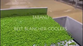 TABANLI PEA PROCESSING EQUIPMENT & LINES WITH BLANCHING-COOLING UNITS