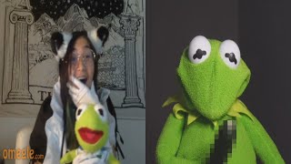 Kermit will steal yo' girl on Omegle