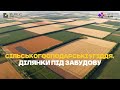 Земельні аукціони на Prozorro.Продажі #auction #news #prozorro