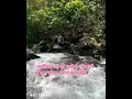 Life is very important💯 #shorts #shortvideo #shortviral #youtubeshorts #trending #viral