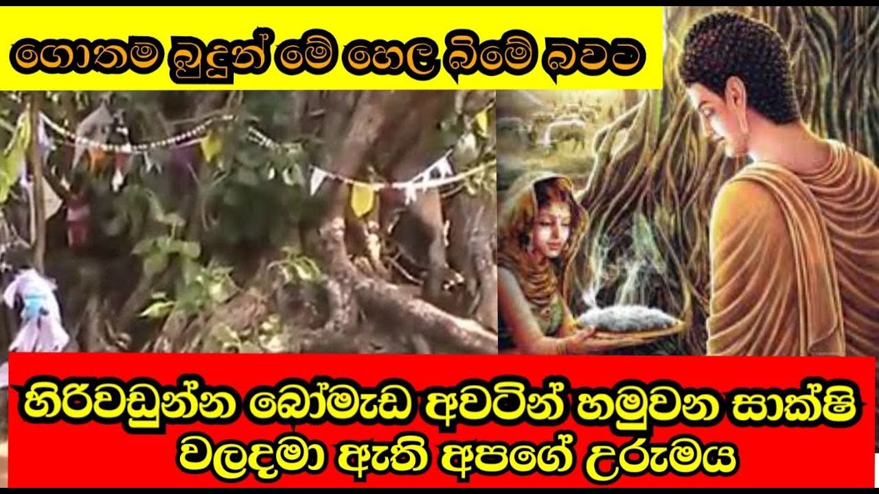 ගොතම බුදුන් වහන්සේ හෙලබිමේ උපන් බවට තවත් සාක්ෂි හිරිවඩුන්න අවටින්ම