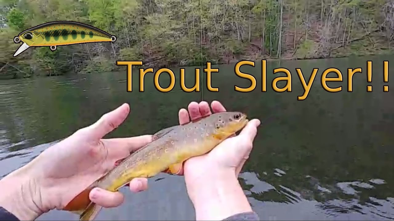 best lures fly fishing watuga Cavy Zappa 55F Micro Walk-the-Dog Floating Topwater Lure Troppo Tiger sharp BKK hooks My FAVORITE Lure For Trout