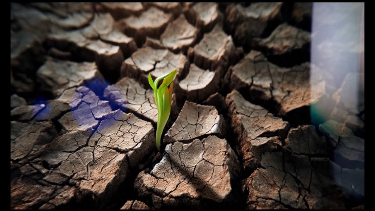 Century of Legacies: Episode 1 - "Only If Necessary". Novo Nordisk Foundation 100 year