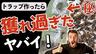 スズメバチをトラップで駆除！獲れすぎエキスと最強ペットボトルの作り方！