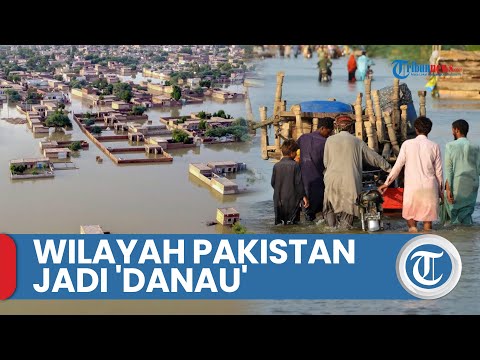 Video: Apakah sungai indus banjir?