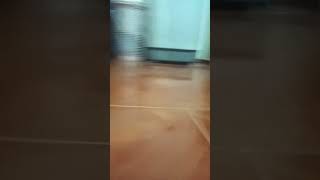 31 De Agosto De 2025