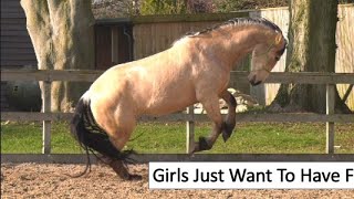 Whoopee Goldmare, AKA Bella ♥️ I love watching this video, it is one of my all time favourites 💖💜💛💙