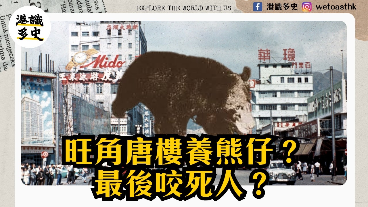 【香港動物園】香港都有熊咬死人？由兵頭花園養熊到旺角唐樓發現熊蹤？點解以前咁多人偷養熊？