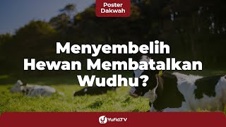 Menyembelih Hewan Kurban, Hal yang Membatalkan Wudhu? - Poster Dakwah Yufid TV