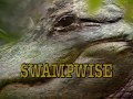 Swampwise | GPB Documentaries