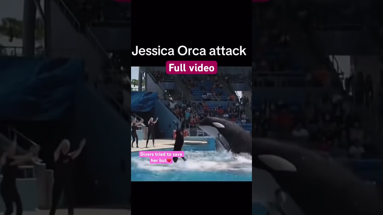 Jessica attack 