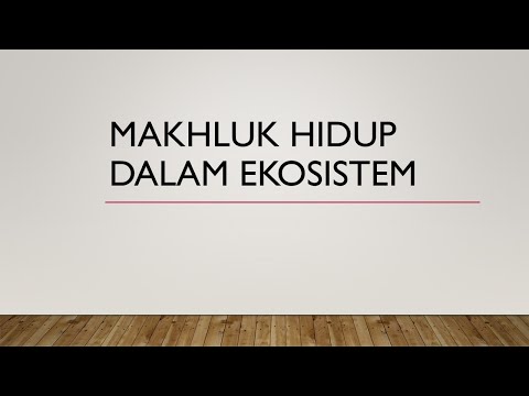 Video: Bagaimanakah bahan dan tenaga mengalir dalam ekosistem?