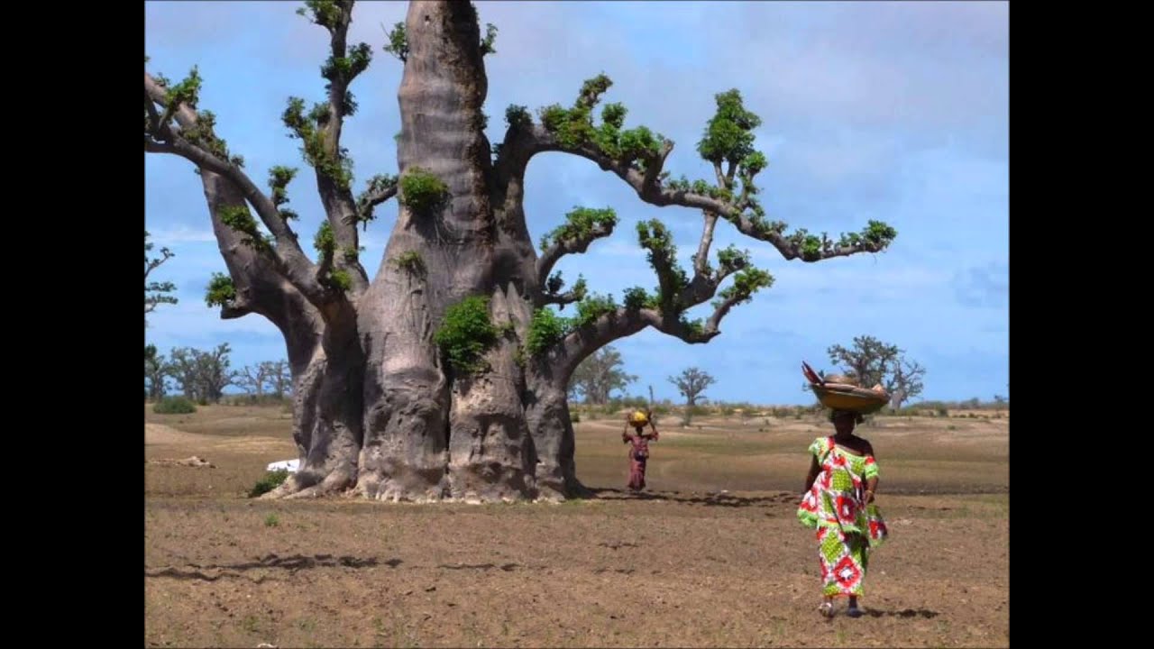 goyane medina sabakh