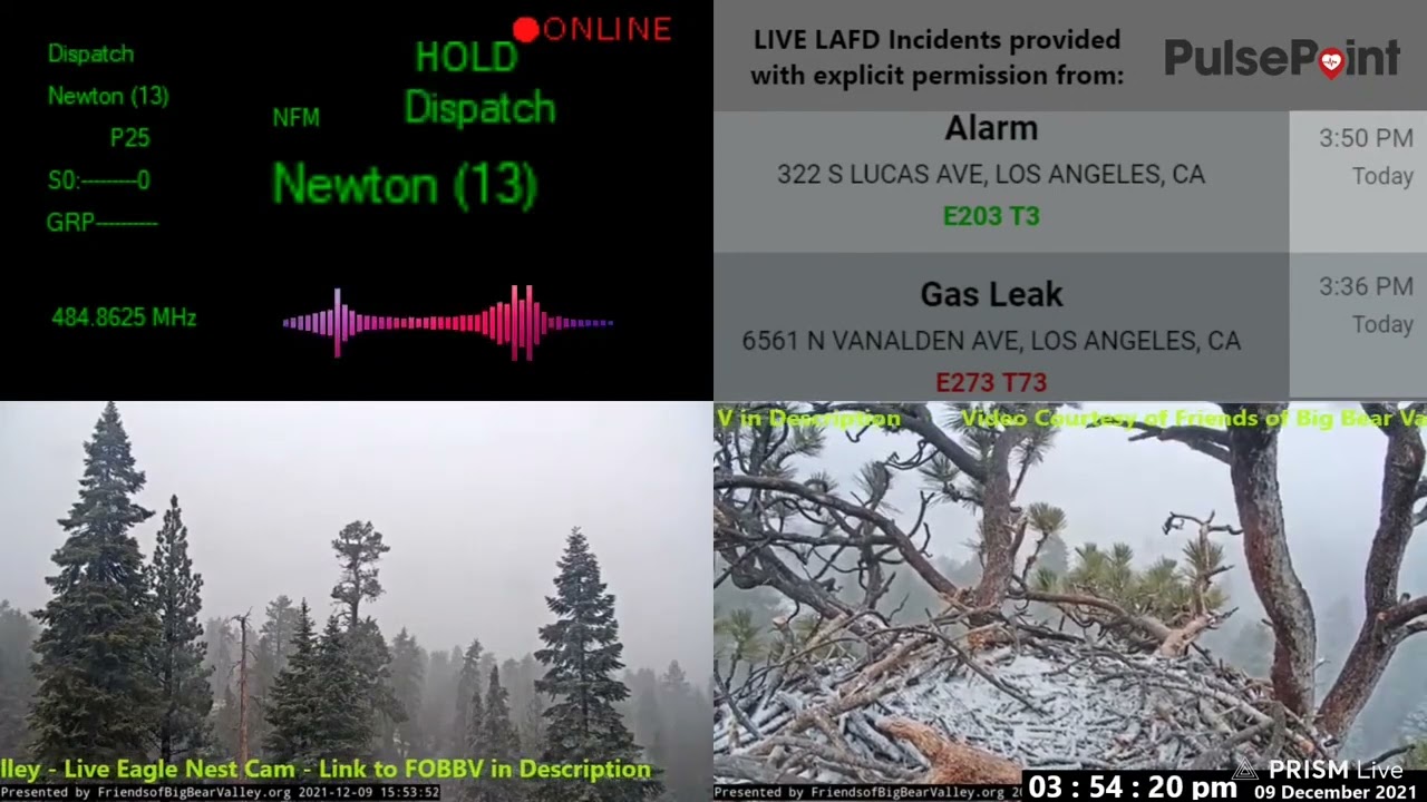 LAPD Live Pursuit Police Radio Scanner Feed 9DEC2021 Newton