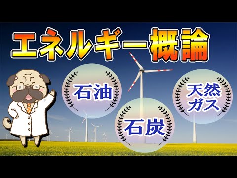 【石油、石炭、天然ガス】エネルギー概論【化石燃料】