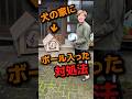犬の家にボールが入ってしまった時の対処法🐶#shorts