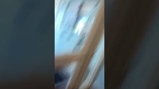 Me Screaming In The Library And Theyre Were People In Their