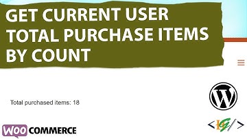 How to Get Current User Total Purchased Items Count using Custom Code in WooCommerce WordPress