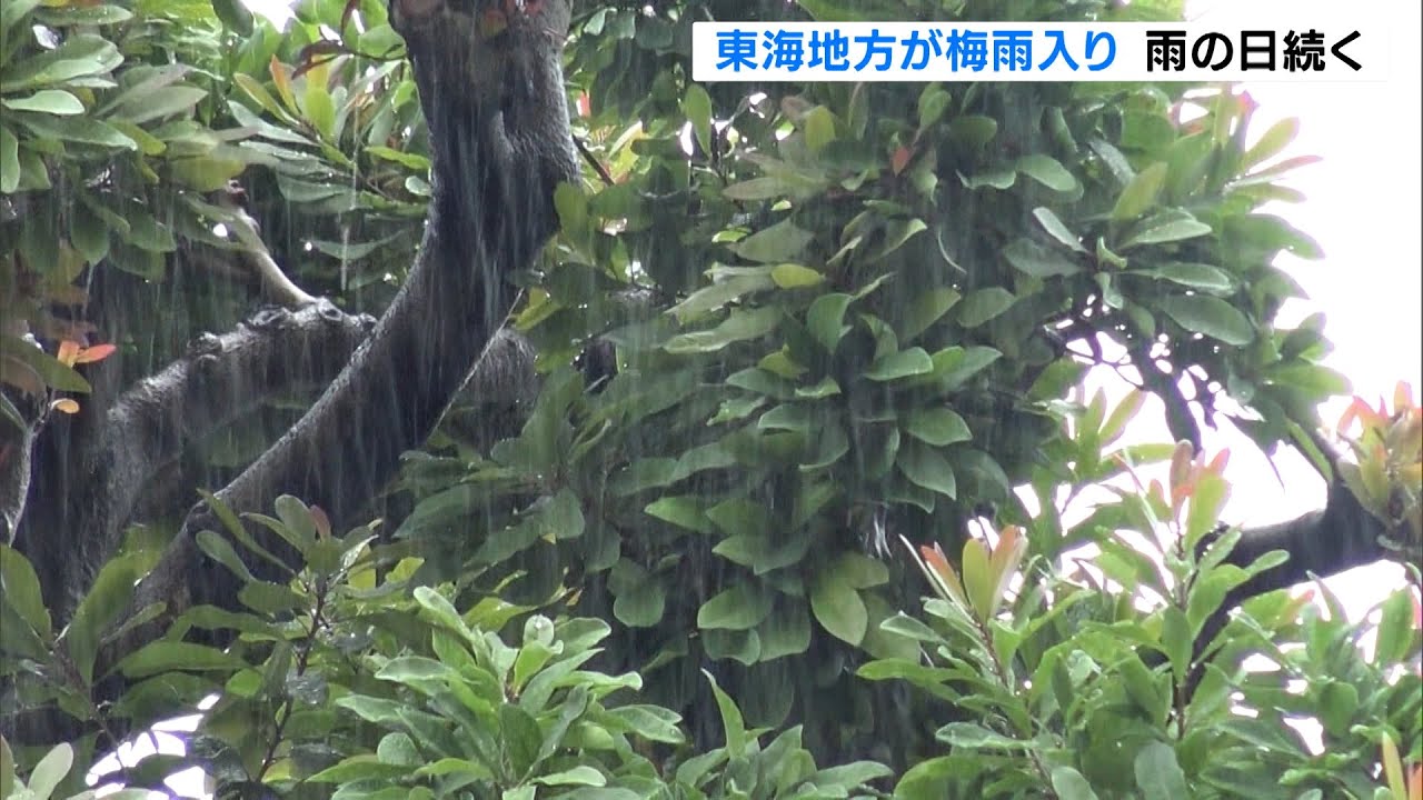 東海地方が梅雨入り 雨の日続く 静岡 Youtube