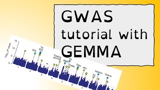 GWAS tutorial with GEMMA