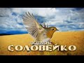 BOTASHE - Соловейко