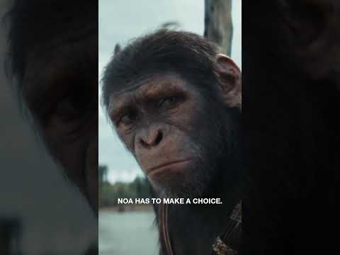 Meet NOA | Kingdom of the Planet of the Apes
