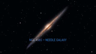 «NGC 4565 — Needle Galaxy» by Nicoletta Guarniera