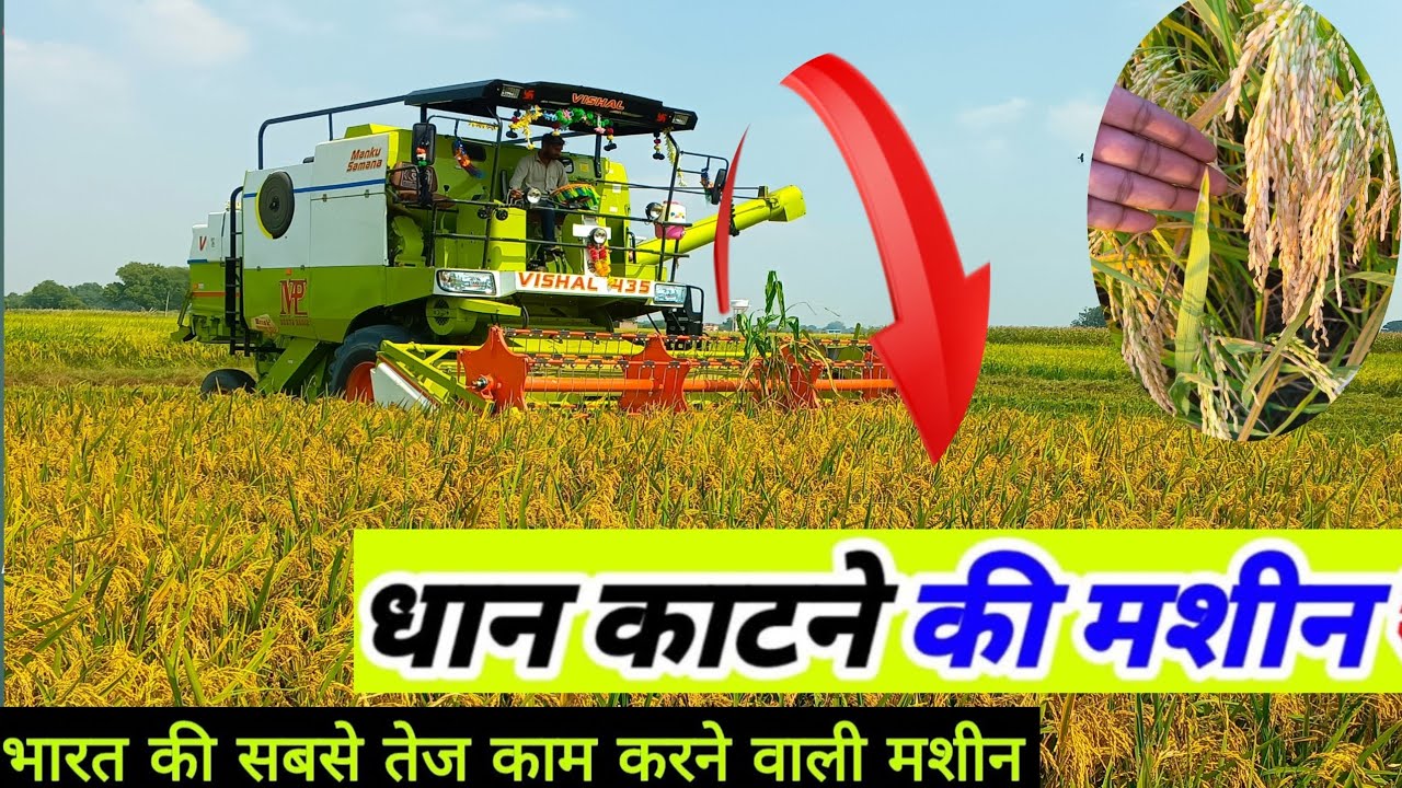  Village Farming धान काटने की मशीन /Combine se dhan kaise farminglife 