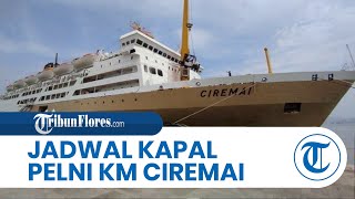 Jadwal Kapal Pelni KM Ceremai 12 - 24 Maret 2025, Jayapura-Serui dan Baubau-Makassar 2 Kali