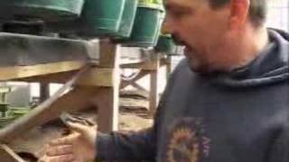 Food Love: Growing Power (Part 2 of 3)