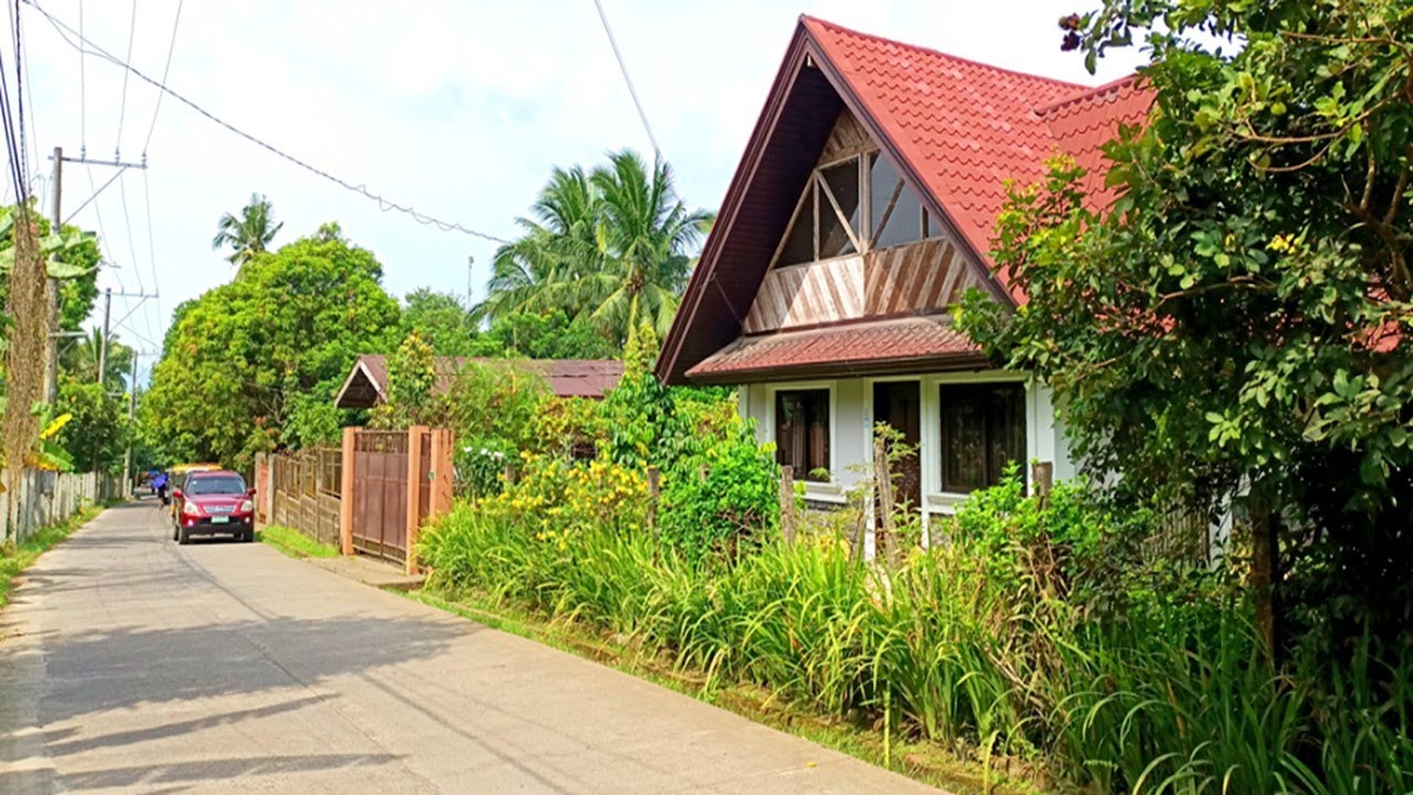 FARM LOT FOR SALE (PROPERTY 102) 2,000 SQM, SAN PABLO CITY, LAGUNA