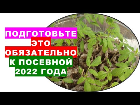 Video: Církevní svátky v červenci 2022