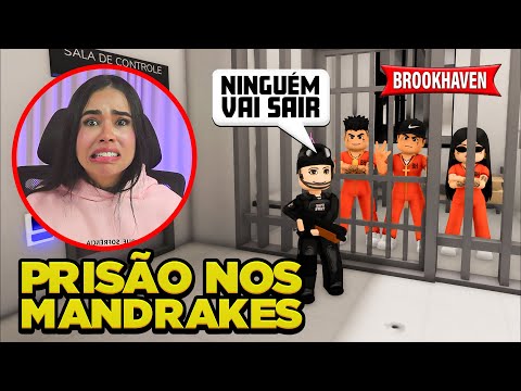 ENCONTREI A REUNIÃO DE MANDRAKES EM BROOKHAVEN 