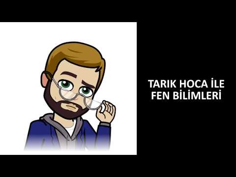 LKS/LGS/TEOG 8.SINIF ERGENLİK VE SAĞLIK