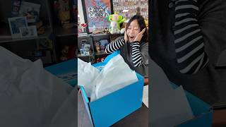 Disneyland 70Th Anniversary Package Unboxing