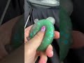 Playing with a turtle squishy in the car!