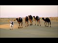 Camel  arabian nights  desert rose  oriental touch  ethno deep house 2022 dj mix