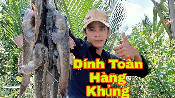 98 | Câu Cá Thòi Lòi Dính Toàn Hàng Khủng | Periophthalmodon schlosseri