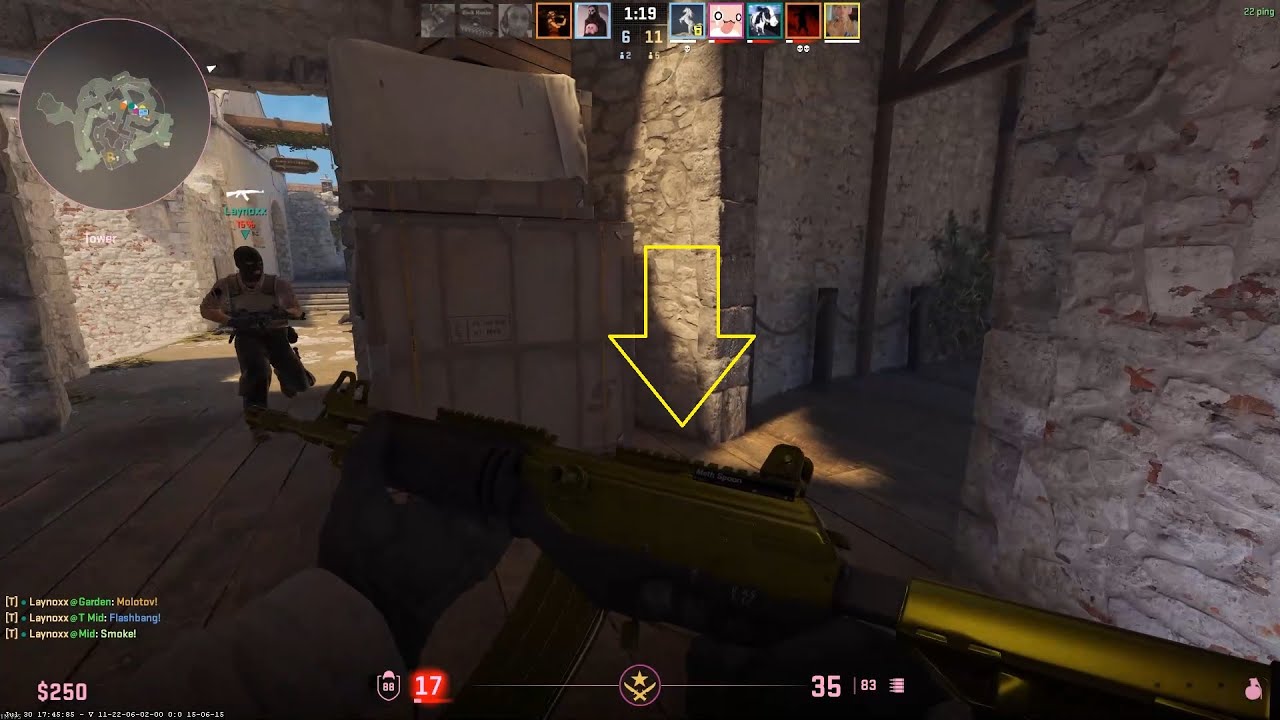 CS2 Small Indie Company Bugs