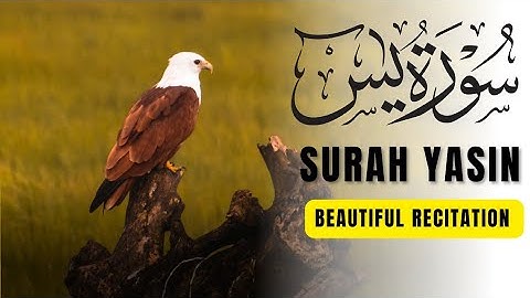 1- Sūrah Yā-Sīn (also Yaseen; Arabic: سورة يس) is the 36th chapter (surah) of the Quran•
