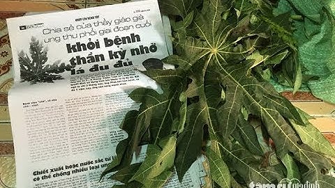 Sự thật về Lá Đu Đủ chữa Ung Thư gây Xôn Xao Cộng Đồng Mạng năm 2017