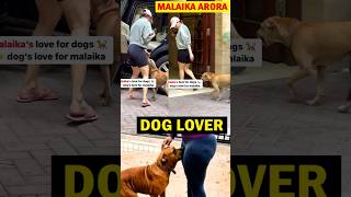 Malaika Arora Dog Love | Malaika Arora showers love on stray Dog #malaikaarora