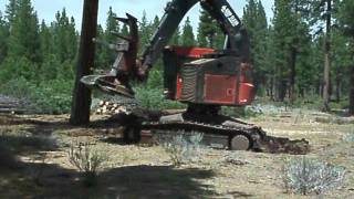 Timbco Cutting big trees