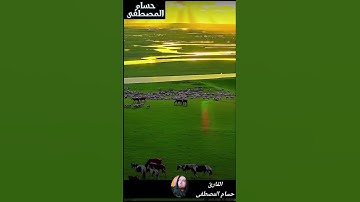 تلاوة هادئة من سورة النمل/ القارئ حسام المصطفى