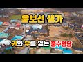 윤보선 생가, 귀와 부를 모두 얻을 수 있는 풍수명당【박성대의 풍수기행】