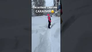 ЧС на Сахалине, метель в Южно-Сахалинске