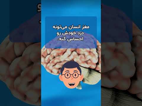 میتونی حدس بزنی کدوم یکی حقیقت داره معما اطلاعات عمومی هوش